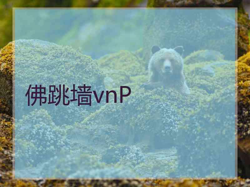 佛跳墙vnP