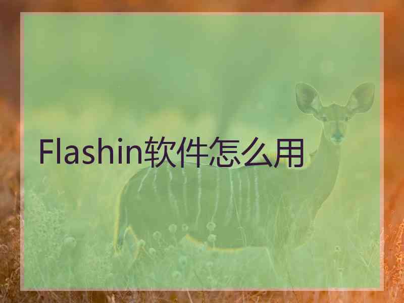 Flashin软件怎么用