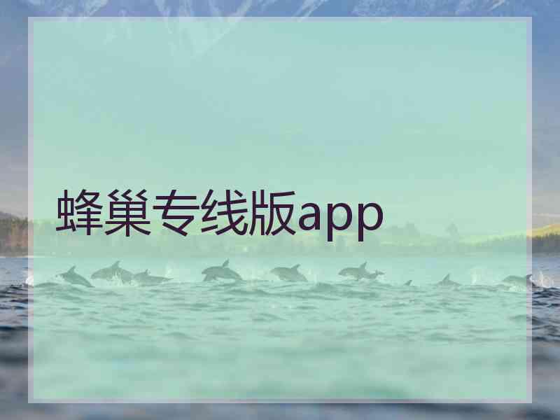 蜂巢专线版app