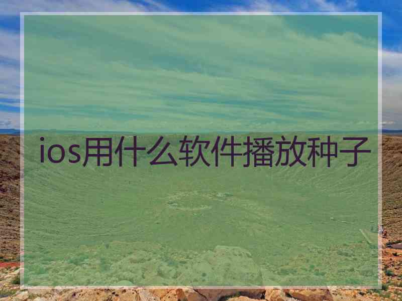 ios用什么软件播放种子