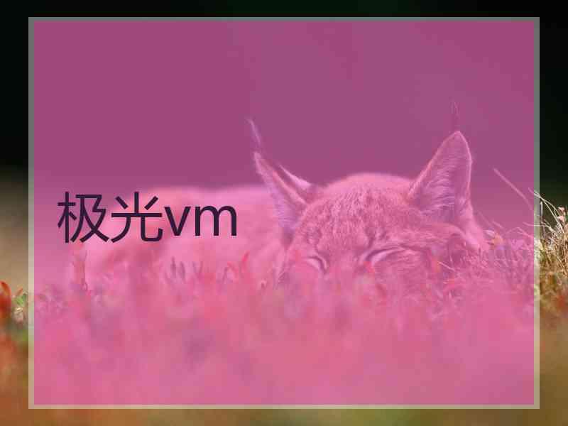 极光vm