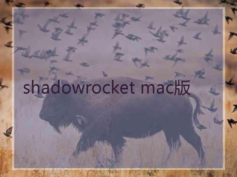 shadowrocket mac版