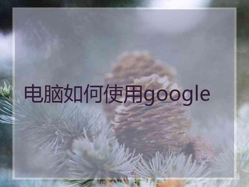 电脑如何使用google