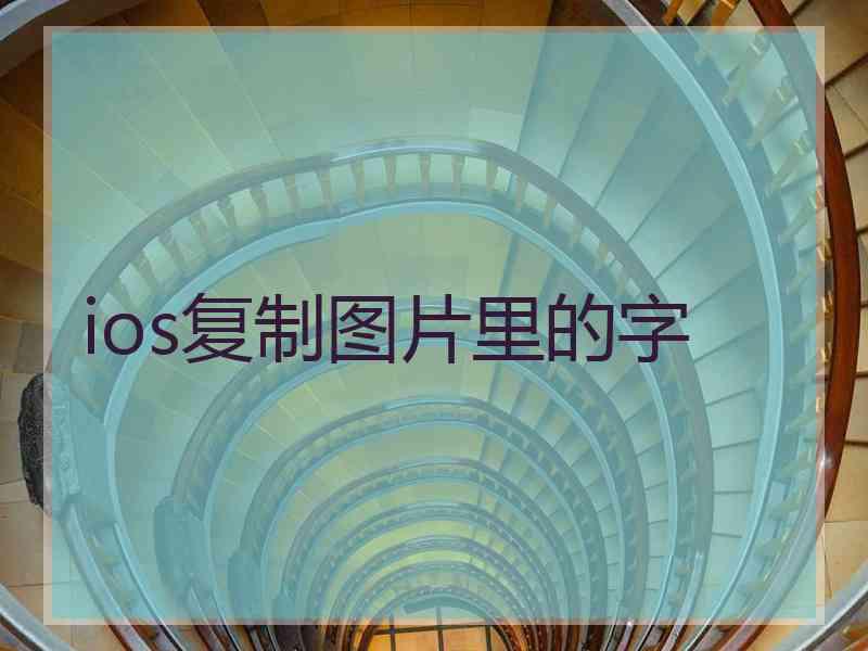 ios复制图片里的字