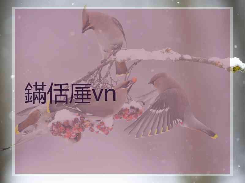 鏋佸厜vn