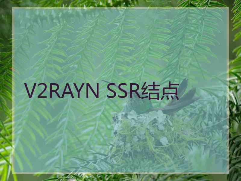 V2RAYN SSR结点