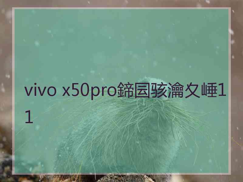 vivo x50pro鍗囩骇瀹夊崜11