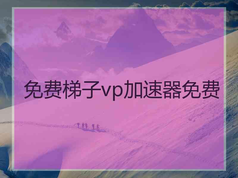 免费梯子vp加速器免费