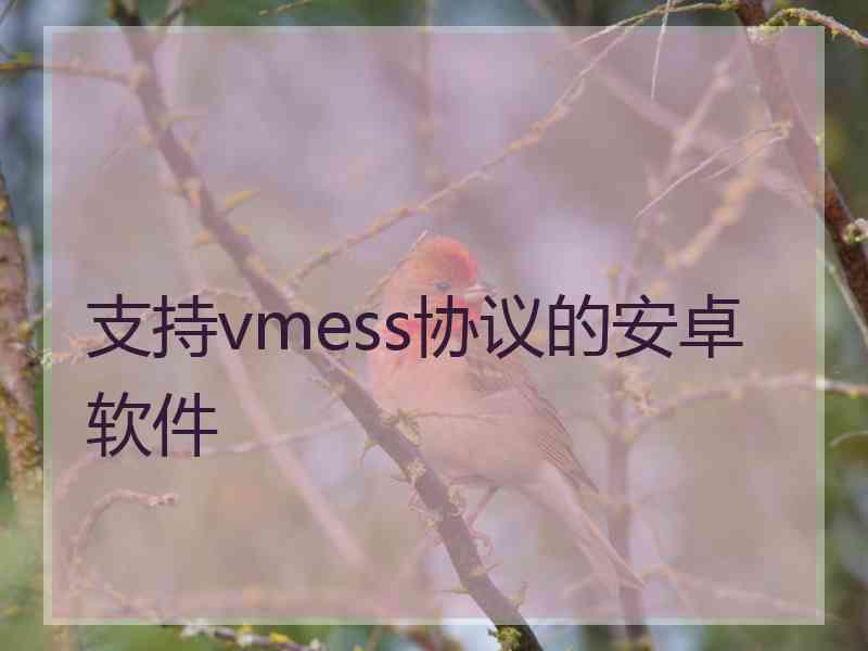 支持vmess协议的安卓软件