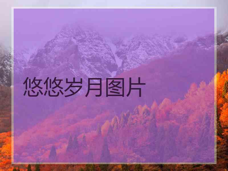 悠悠岁月图片