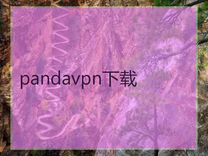 pandavpn下载