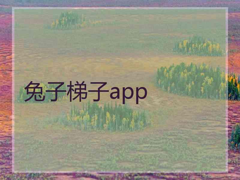 兔子梯子app