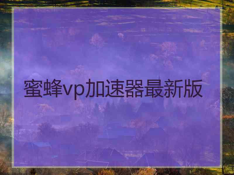 蜜蜂vp加速器最新版