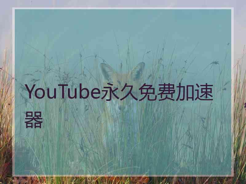 YouTube永久免费加速器