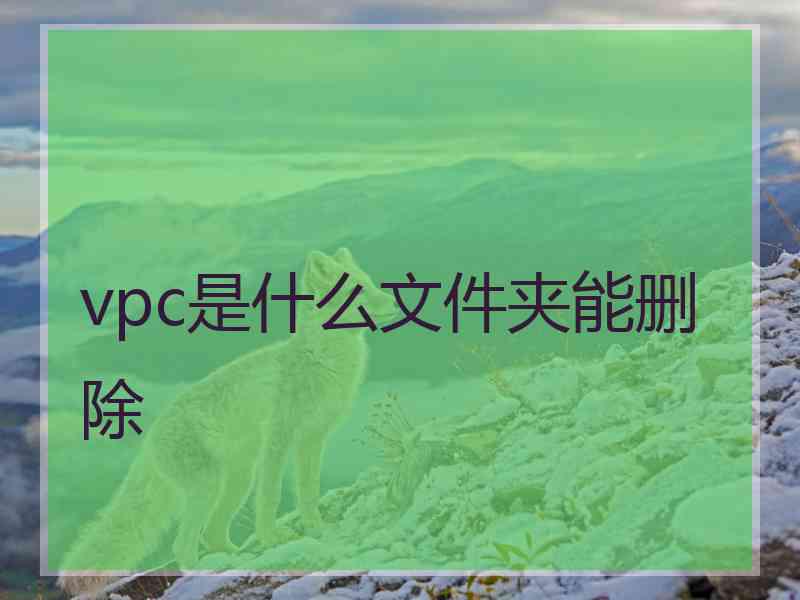 vpc是什么文件夹能删除