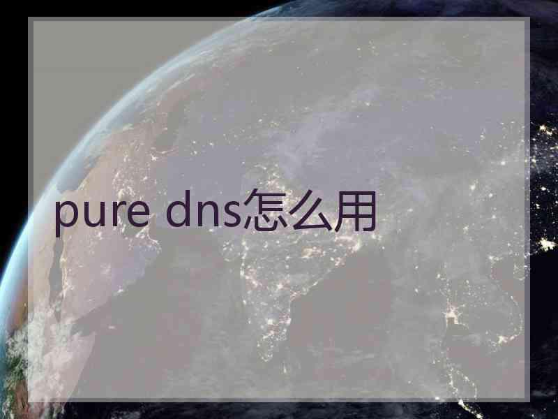 pure dns怎么用