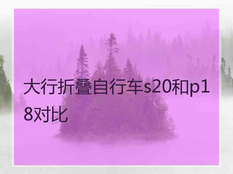 大行折叠自行车s20和p18对比