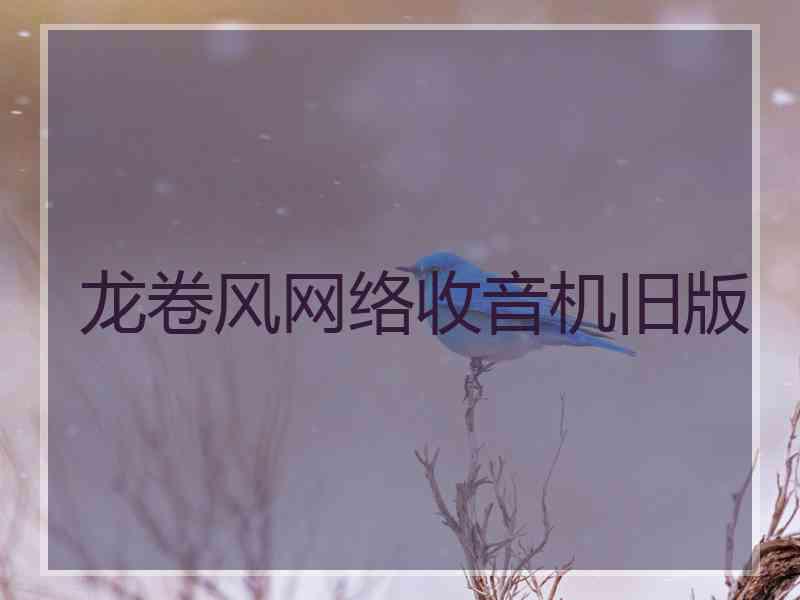 龙卷风网络收音机旧版