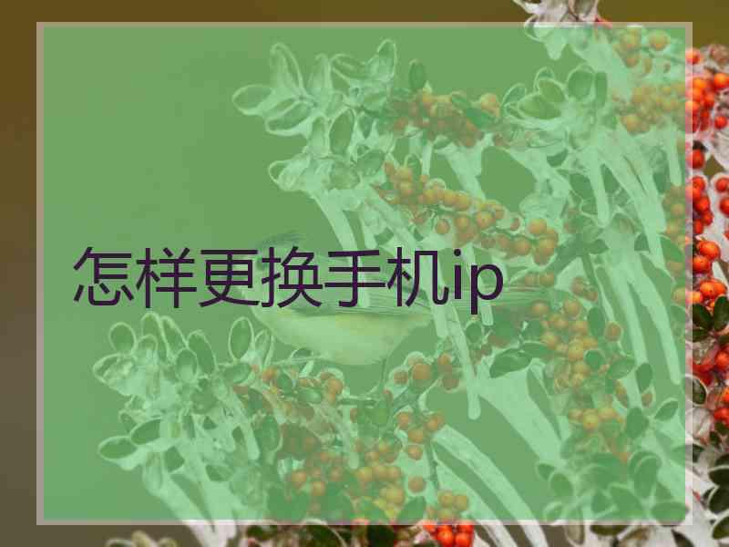 怎样更换手机ip