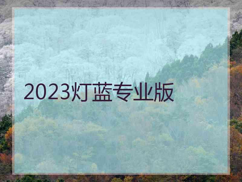 2023灯蓝专业版