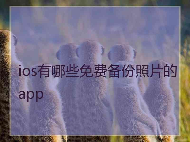 ios有哪些免费备份照片的app