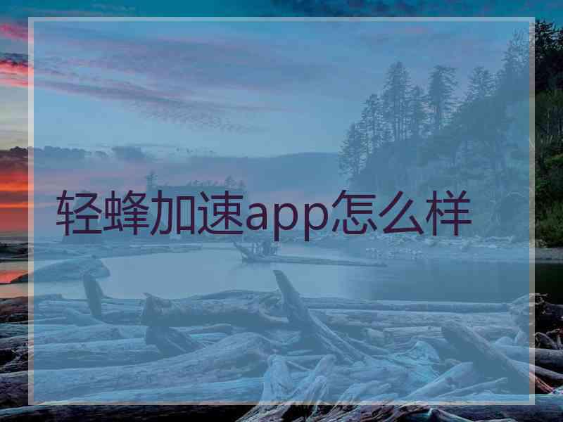 轻蜂加速app怎么样