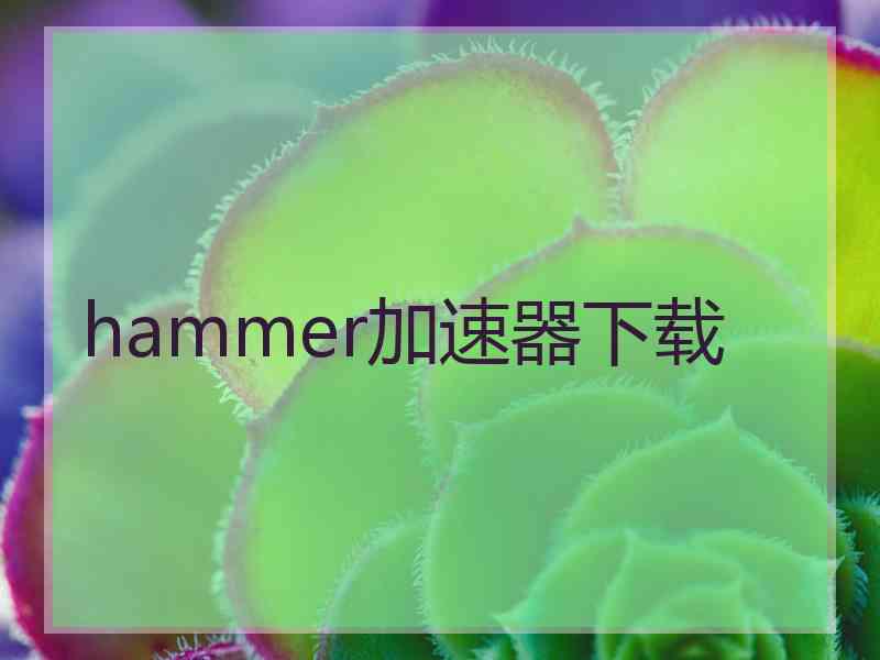 hammer加速器下载