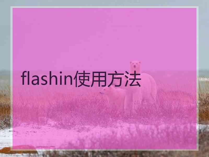 flashin使用方法