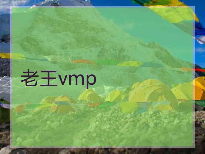 老王vmp