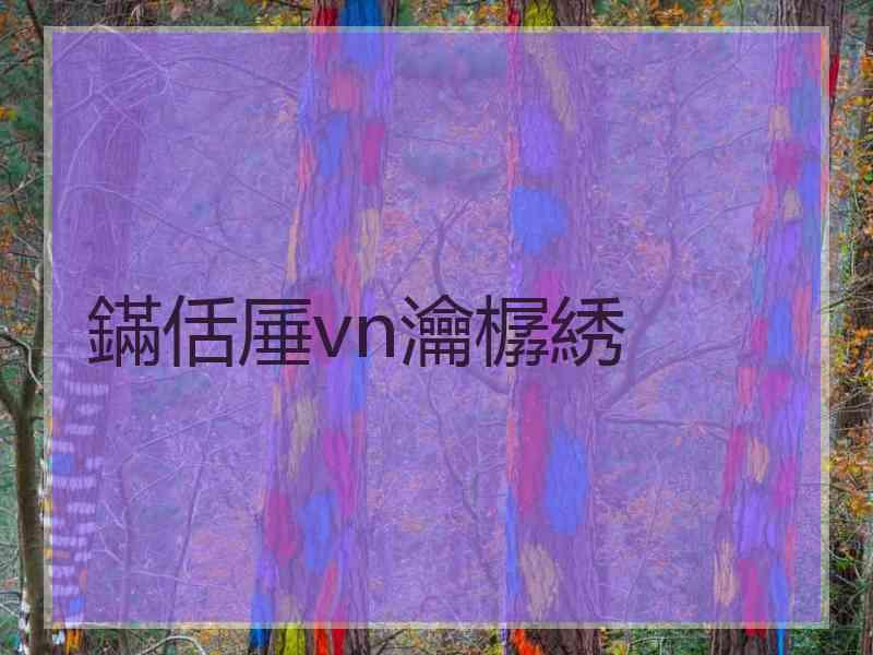 鏋佸厜vn瀹樼綉