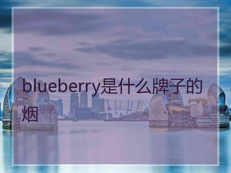 blueberry是什么牌子的烟