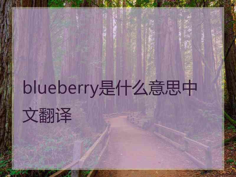 blueberry是什么意思中文翻译