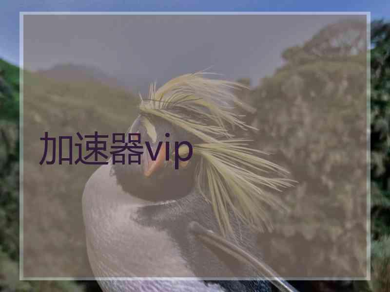 加速器vip