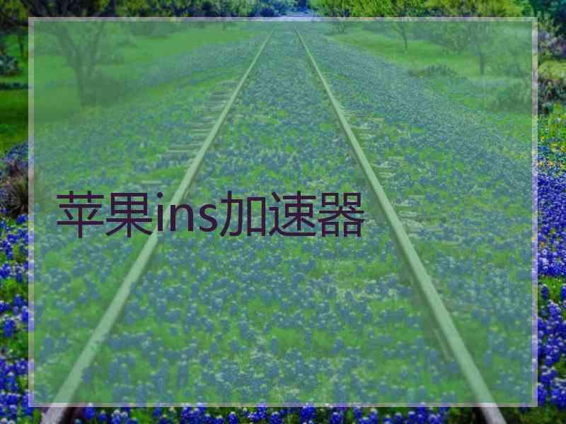 苹果ins加速器