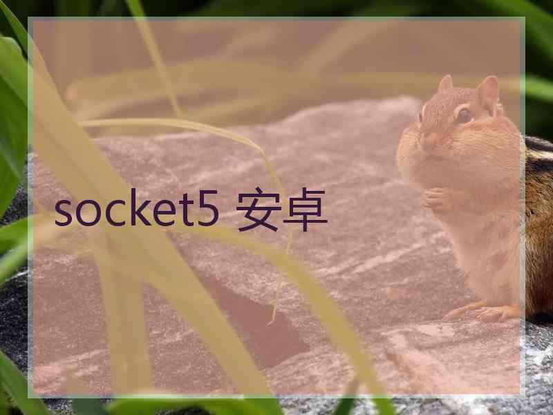 socket5 安卓