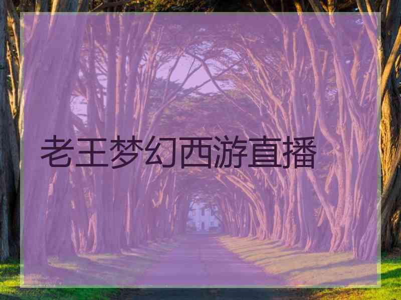 老王梦幻西游直播