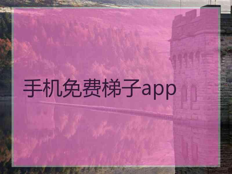 手机免费梯子app