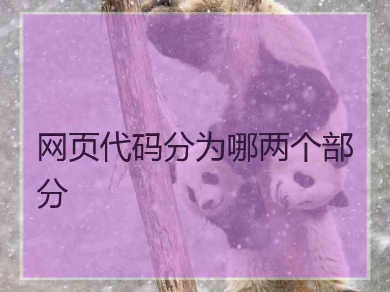 网页代码分为哪两个部分