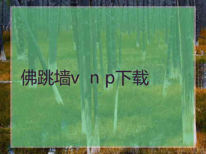 佛跳墙v  n p下载