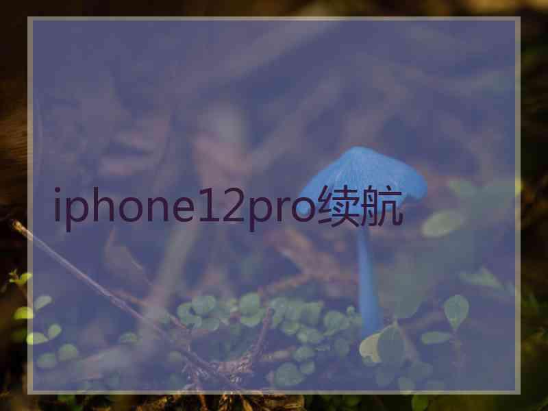 iphone12pro续航