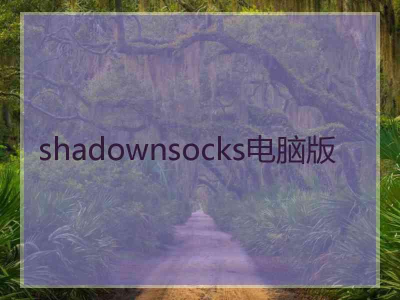 shadownsocks电脑版