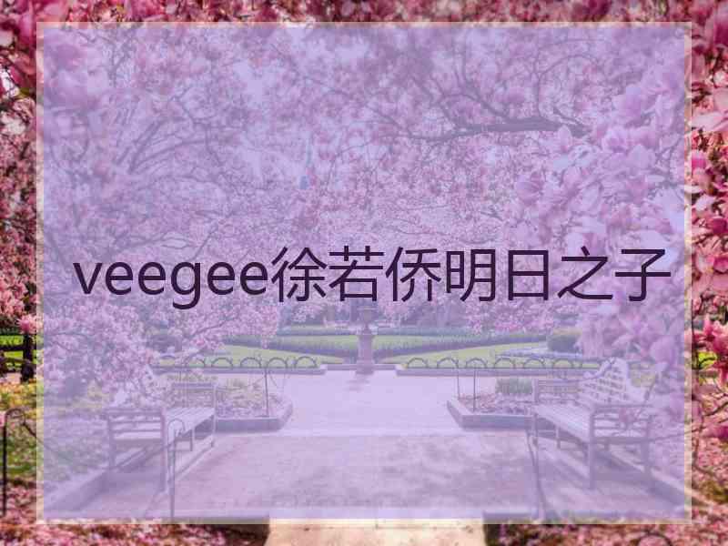 veegee徐若侨明日之子