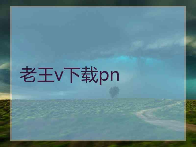 老王v下载pn