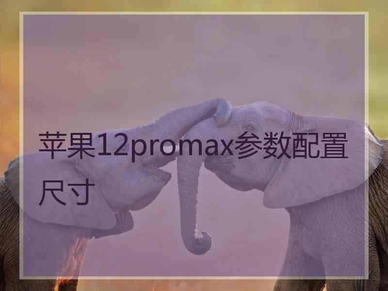 苹果12promax参数配置尺寸