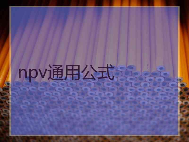 npv通用公式