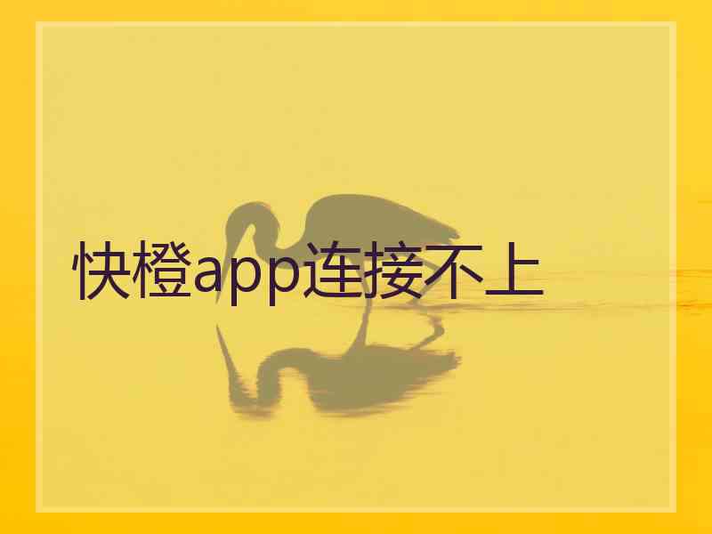 快橙app连接不上