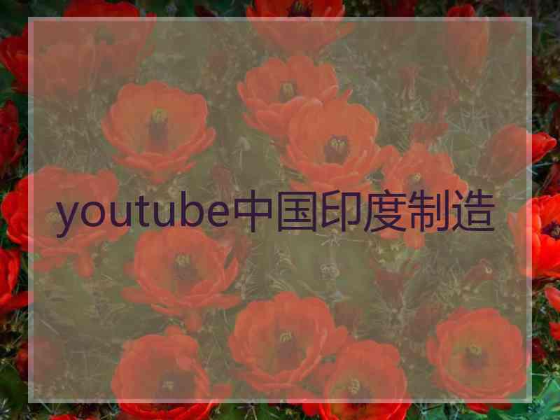 youtube中国印度制造