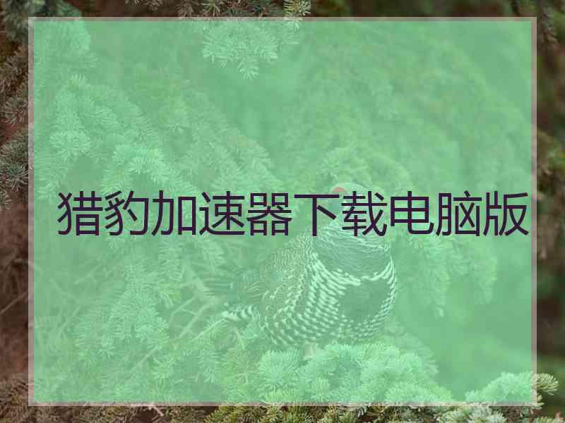 猎豹加速器下载电脑版