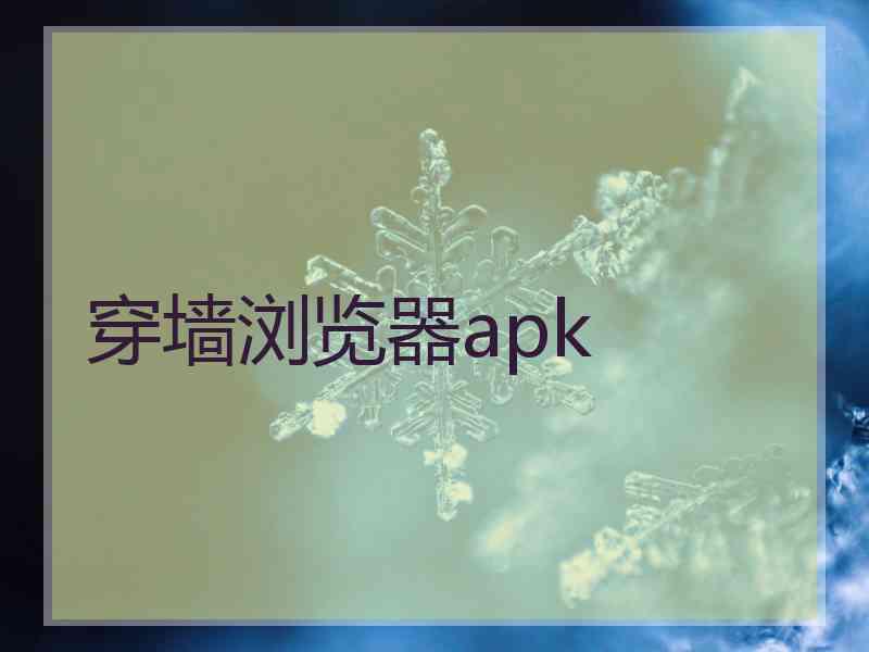 穿墙浏览器apk