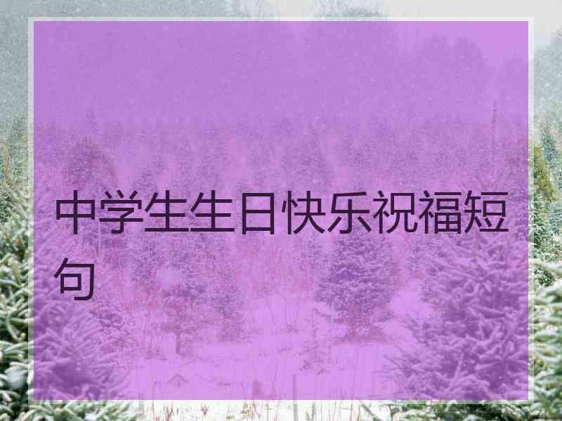 中学生生日快乐祝福短句